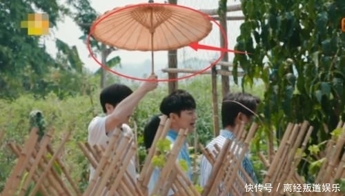 难怪|“全家”围观孔雀起名字,有谁注意彭彭小举动?难怪能录这么多季!