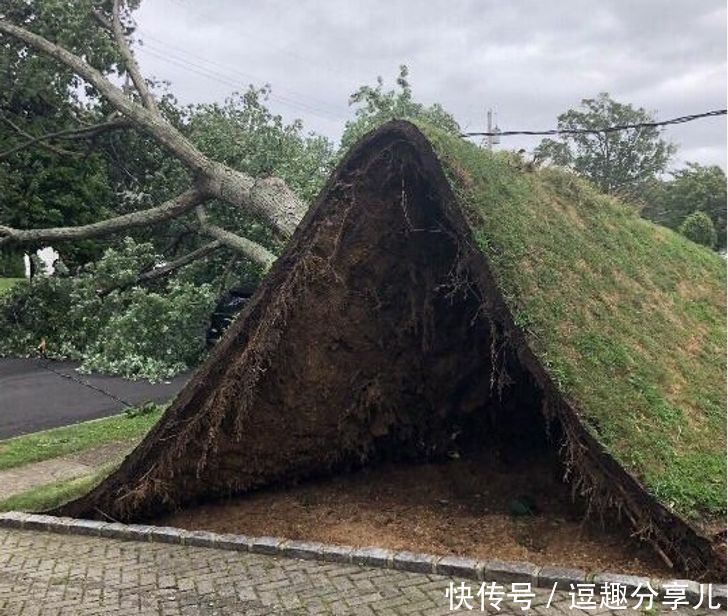 无所不能|那些人类遗忘的角落,大自然无所不能