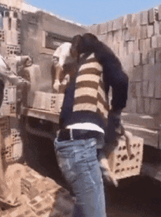  气死我了|搞笑GIF：哦买噶的，这是让我怎么吃？气死我了！