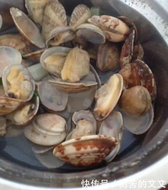  认出|海鲜大全, 你能认出多少