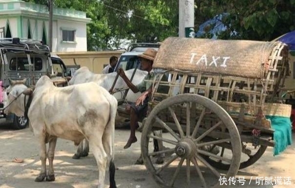 行不行|每日一笑:媳妇,这么冷的天,穿厚点再出门行不行