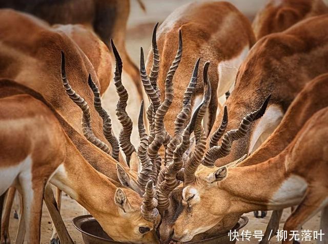 强迫症|14张让强迫症患者非常“痛快”的照片,看完后爽歪歪