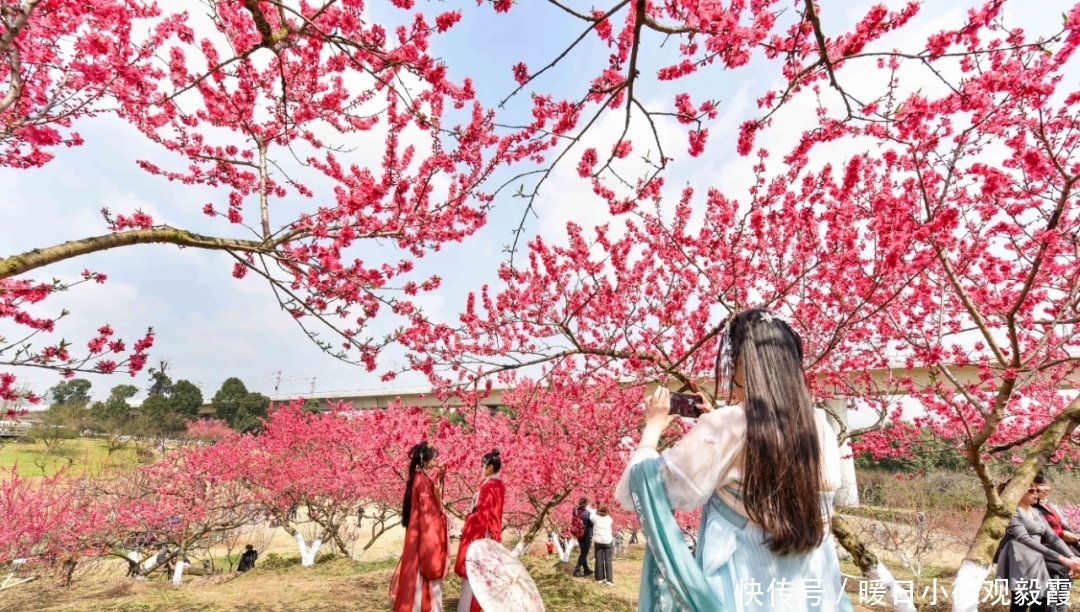 浅谈|浅谈秀丽东方IP对成都公园城市建设的借鉴作用