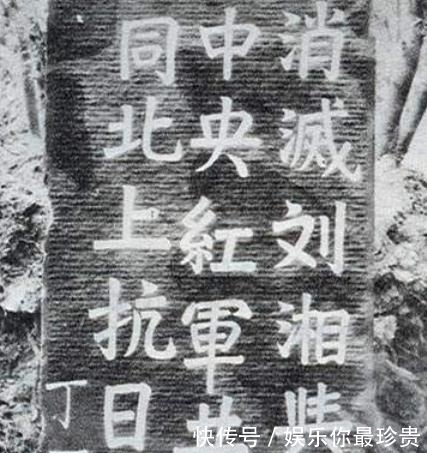 中央|张国焘力主红军南下的深层原因，并非全是出自私欲