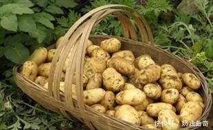 不妨|此菜堪称“地下苹果”!女人不妨多吃,排毒、美容抗衰老