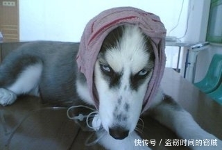 这栋|趣味图片幽默段子笑话:这栋大厦好像被人中间劈了一刀似的,哈哈