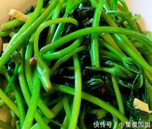  黄磊|黄磊晚饭后晒出6道家常菜，每一道都很馋人，馋坏了一大群网友