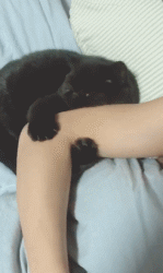 生活|搞笑GIF:在网吧多年,第一次看到这么懂得生活的少年