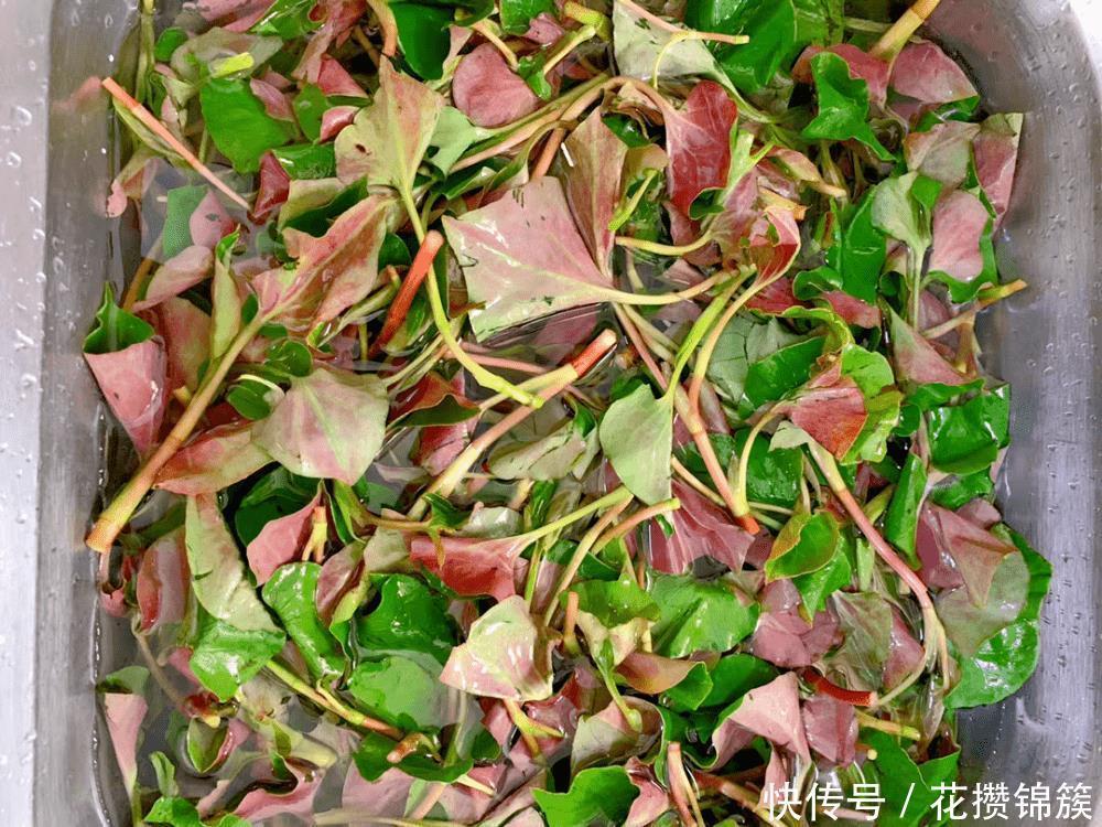 变轻|三伏天,别吃猪肉了,多吃此菜,三天两头吃,肠道通畅了,体重变轻了