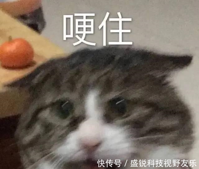 工作室|仝卓这不就是撕人答题卡吗?