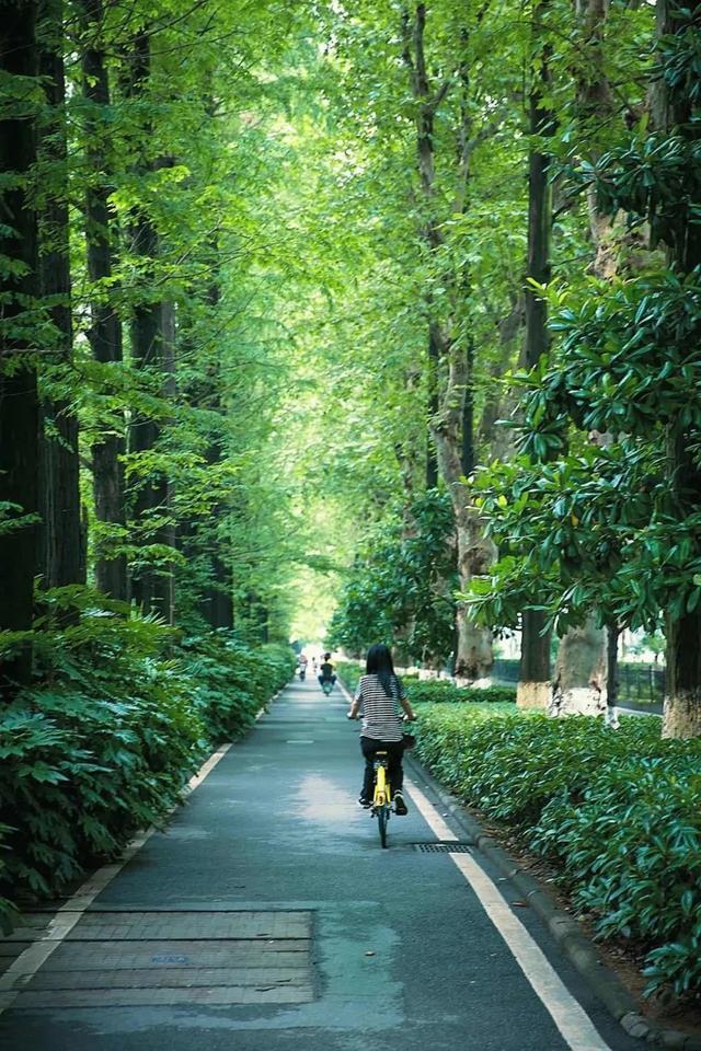 沿途|全自动无人驾驶的五号线要来了！沿途还有这些好玩的