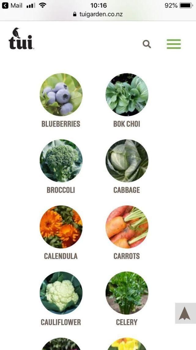 适合|冬天吃不起菜新西兰华人6月种菜攻略,适合新人上手