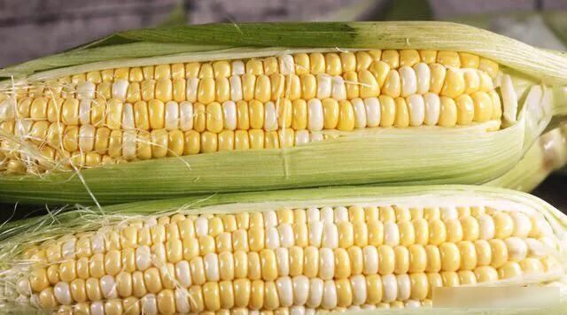 搅拌均匀|被大家忽略的一款饵,鲫鲤草鳊青通杀的一款饵,钓友都见过