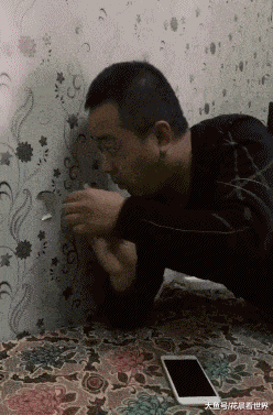 搞笑|搞笑GIF:可怜的泰迪,好像很容易成为大狗的目标