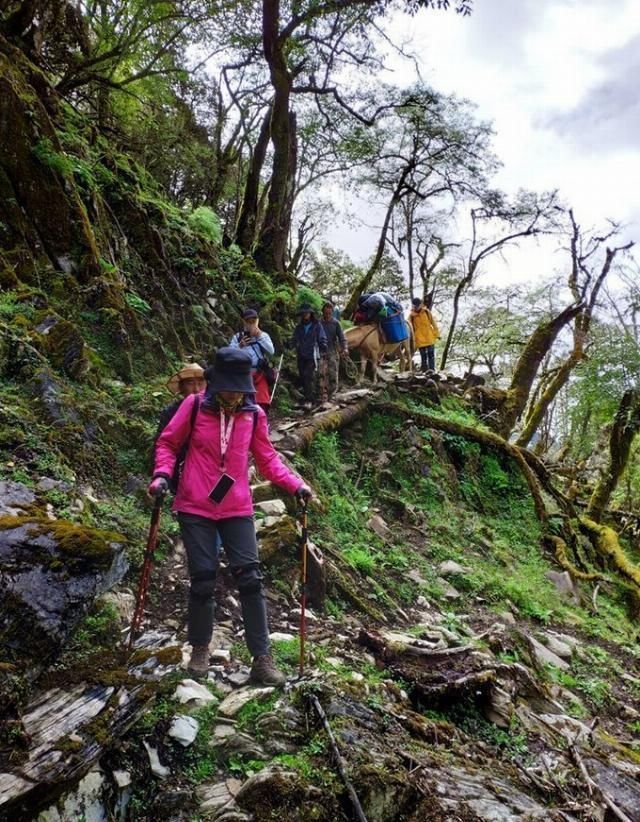 攻略|无深度不云南——丽江巴拉神山徒步穿越攻略