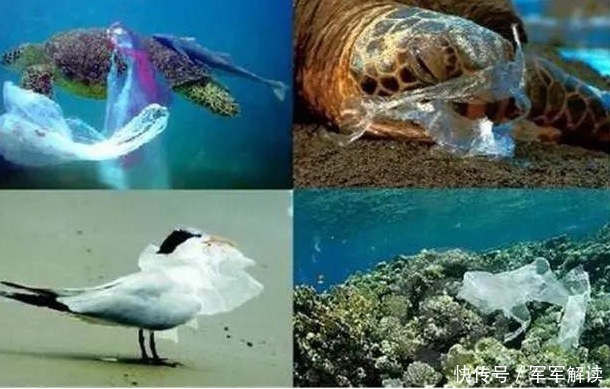 造福|日本可算是干了件好事,一项发明将造福全人类,数亿吨垃圾有救了