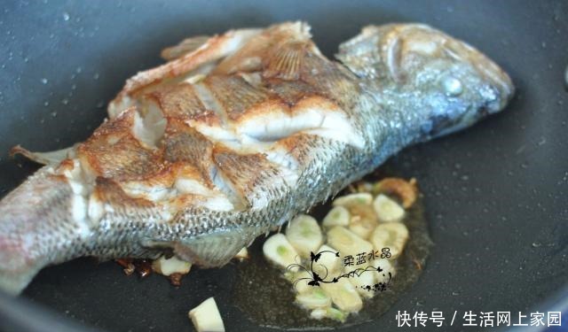 猪肉|猪肉那么贵,吃猪肉不如吃它,遇到了准要买回家