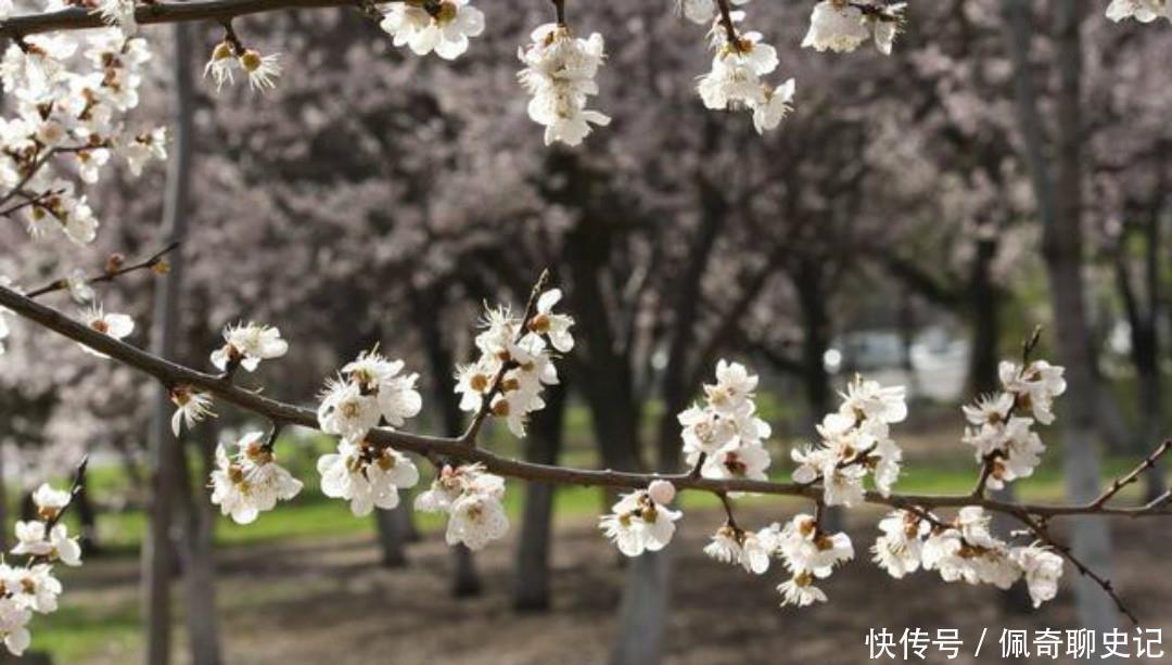  充满|王安石很经典的两首六言绝句，写得很是伤感，每一首都充满了忧愁