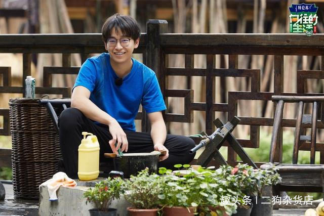 向往|《向往》双播被取消,期数变少,会员却大增了,别家节目暗羡慕