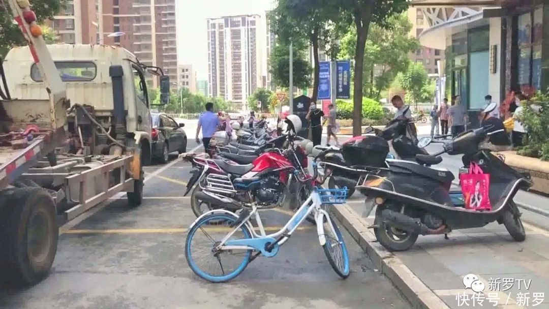 停车|【创城在行动】新罗交警:联合整治停车乱象 助力文明城市共建