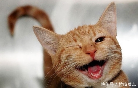 前男友|今天藏私房钱,无意间看到一个小本子,上面写着前男友。