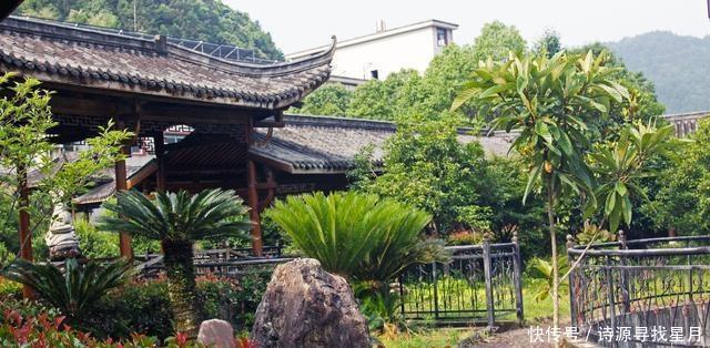 特别|吃杨梅，喝葛和这20道特别的菜，叫做江西三清山