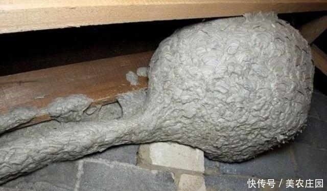 管道|男子看见房子外面墙壁上有奇怪管道,仔细一看赶忙向同志求助