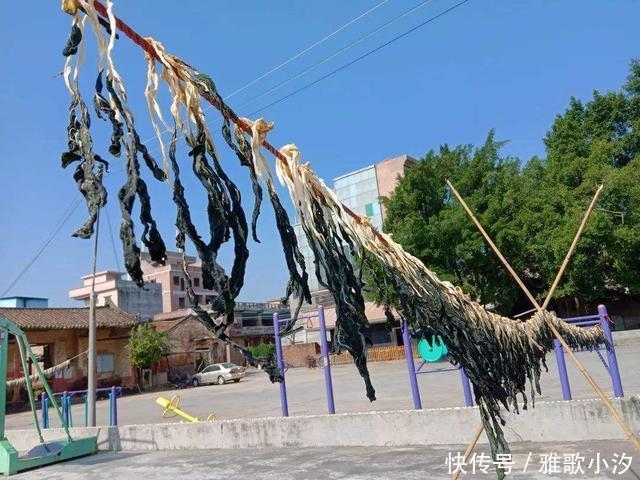 南方人|东北大娘囤300斤大白菜,南方人却喜欢囤这些!