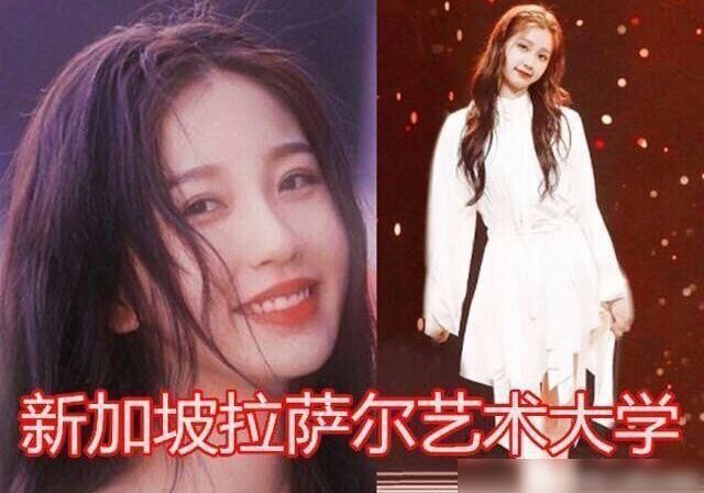 学历|THE9平均年龄24,却被嘲是大龄“姐姐团”,我却注意到她们的学历