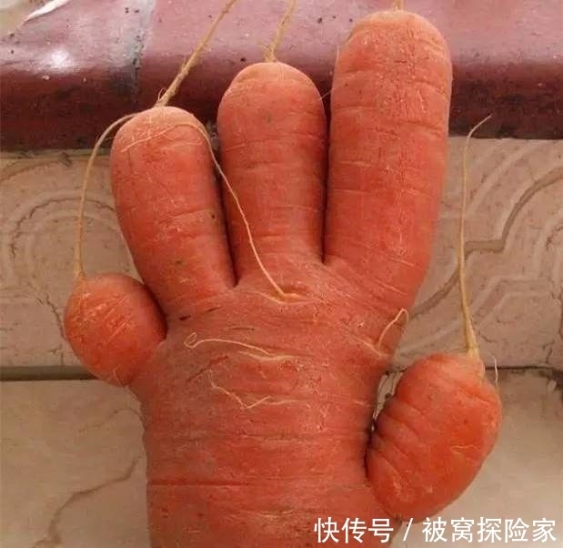  恩爱|爆笑GIF: 大哥, 在公交车上, 你们这样秀恩爱真的好吗, 我真是看不下去了