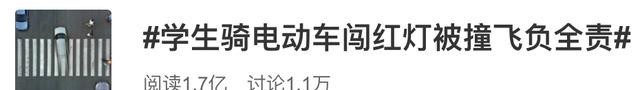  闯红灯|学生骑电动车闯红灯被撞飞负全责，网友点赞：谁违法，谁担责