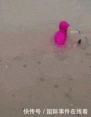 来撑|这伴娘怕不是来撑场子是来砸场子的吧!哈哈哈