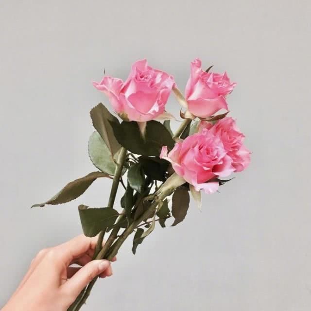 心语|简单干净的晚安心语，温暖治愈，你最喜欢哪句？