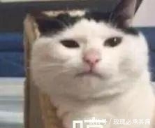 食物|南方人说: 北方的食物, 是世界上最大的骗子! ?