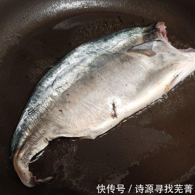 鱼肉|香煎狐鲣鱼,鱼肉鲜嫩好吃