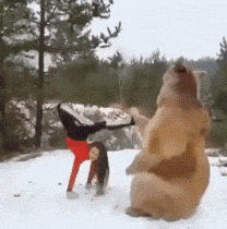 GIF|搞笑GIF：用跑步机往屋里运劈柴！想法不错！