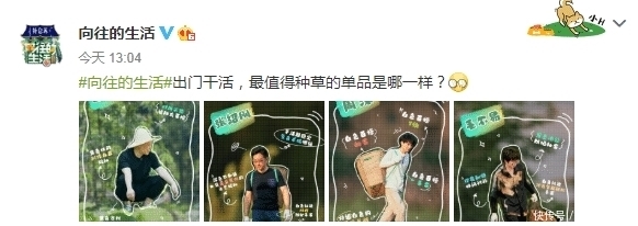 椰子树|彭昱畅爬完椰子树后,那把刀取下来没有?《向往的生活》导演回应了