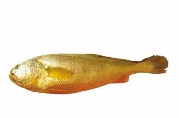 海鲜|海鲜大全, 你能认出多少