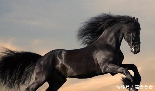 发问|外国人发问:你们中国人连狗肉都吃,为何这种肉却少有人吃呢?