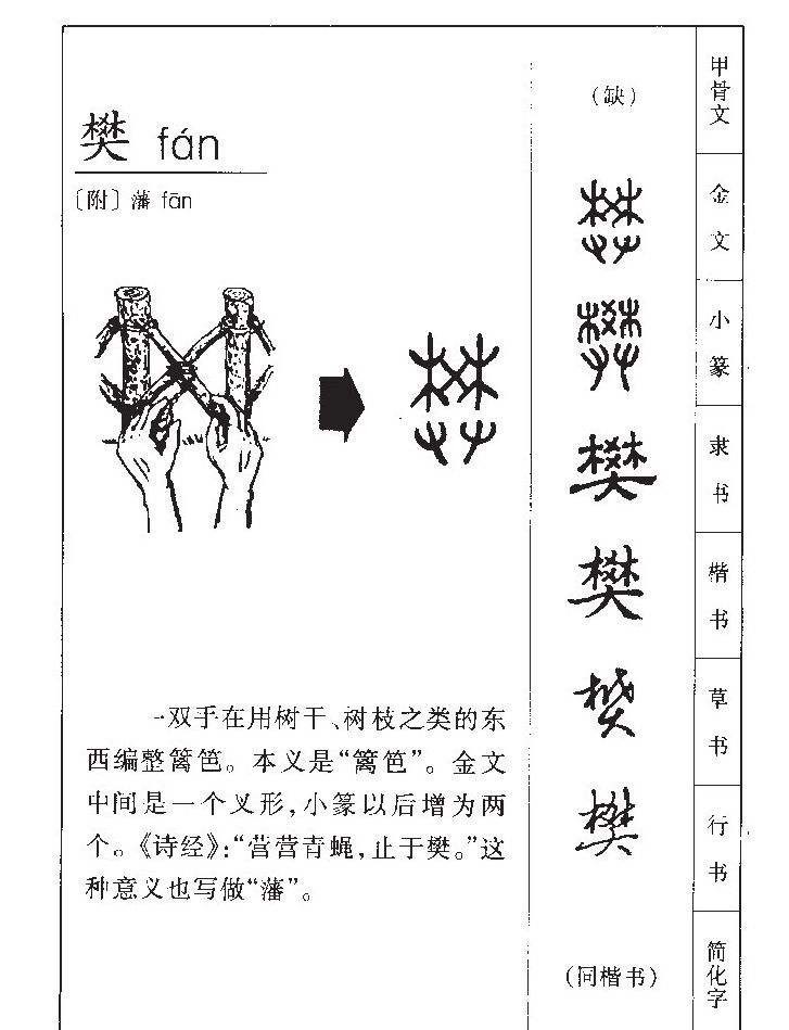 历史|秦始皇陵发现单体金骆驼,那时中原没有骆驼,是新疆人“送”来的
