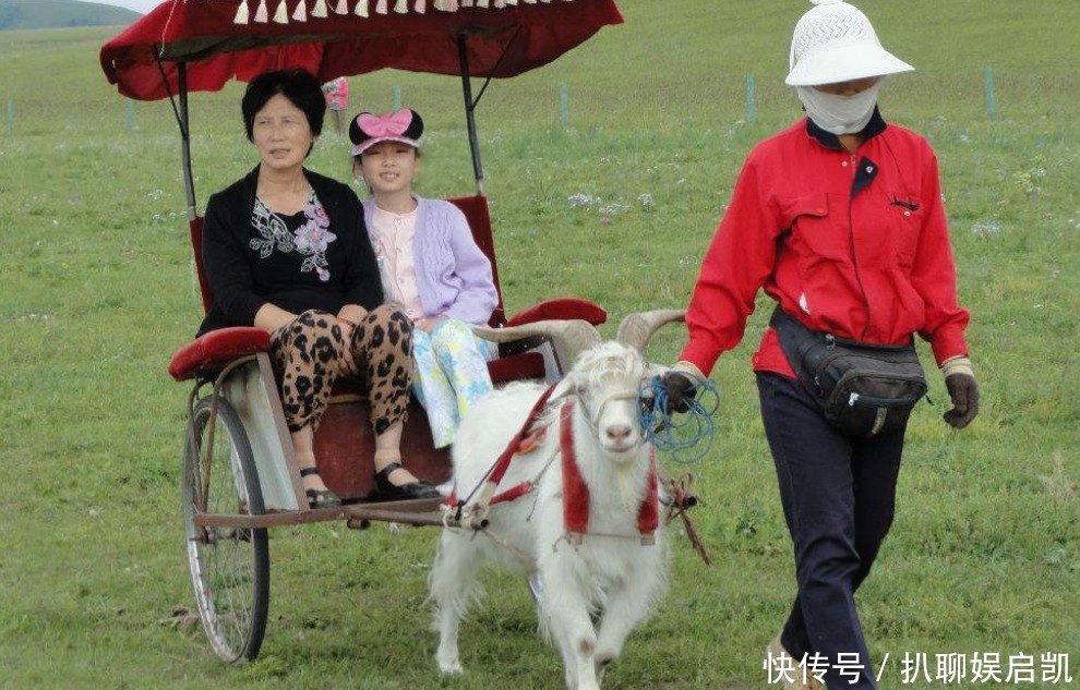 司马炎|皇帝后宫佳丽三千，怎样做到雨露均沾？这个皇帝真会玩！