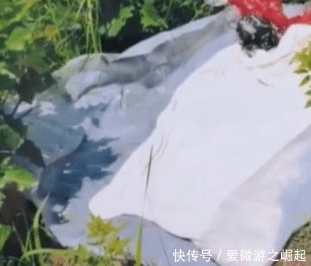 寻找|女友半夜迟迟没回家，男子急忙跑出去寻找，可惜还是晚了一步