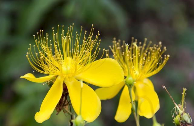  双子座|十二星座酒醉后原来是这样，双子座睡马路边，狮子座人设崩塌