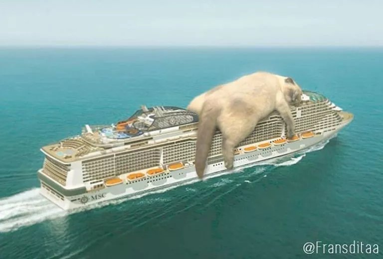  哥斯拉|要是小猫咪突然变成了庞然大物，这个世界会是什么样的