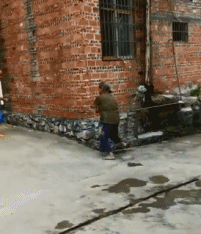 GIF|搞笑GIF：用跑步机往屋里运劈柴！想法不错！