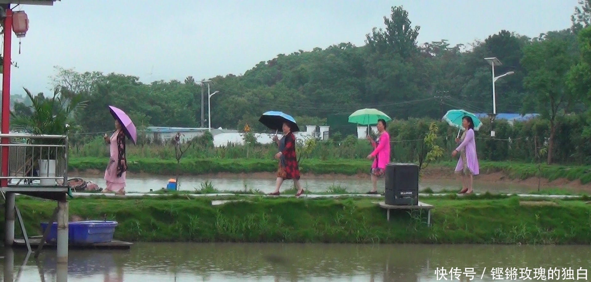  八中|马鞍山八中74届高中女生模特团：南京江宁竹庄生态园雨中走秀（音乐相册）