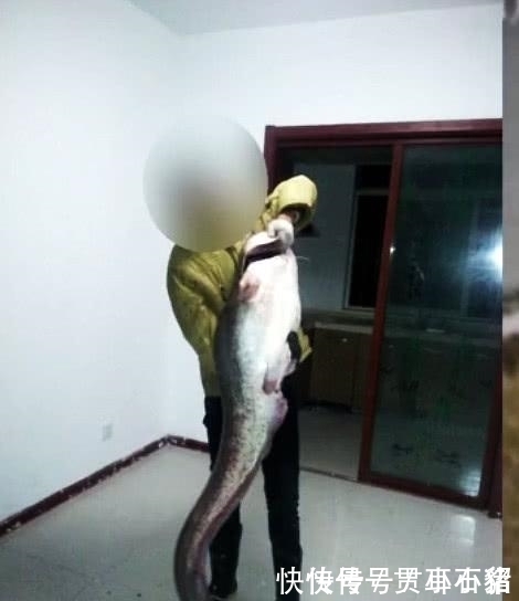 电死|电鱼电不死男子长江电死百斤大鱼，还发朋友圈炫耀，最后被抓