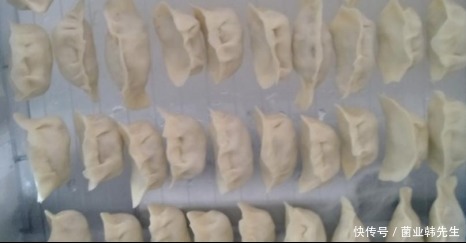 好吃|榆黄蘑做饺子馅,这么做才好吃!