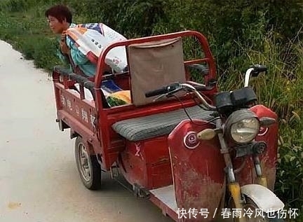 倒赔|西瓜被偷却倒赔小偷300元，瓜农哭诉：偷吧，以后再也不敢阻拦了