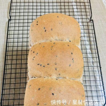  发酵|全麦黑芝麻吐司（波兰种）